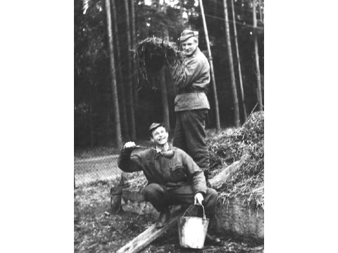 Foto 16